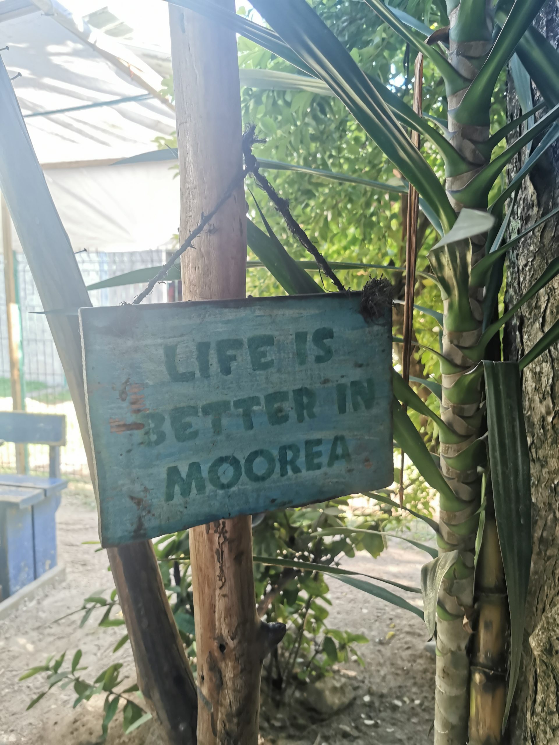 Life is better in Moorea (for sure ! ) 