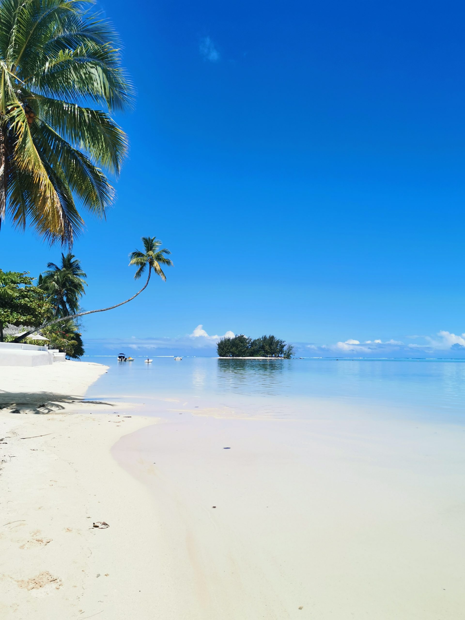 Paradis tropical sous le ciel polynésien