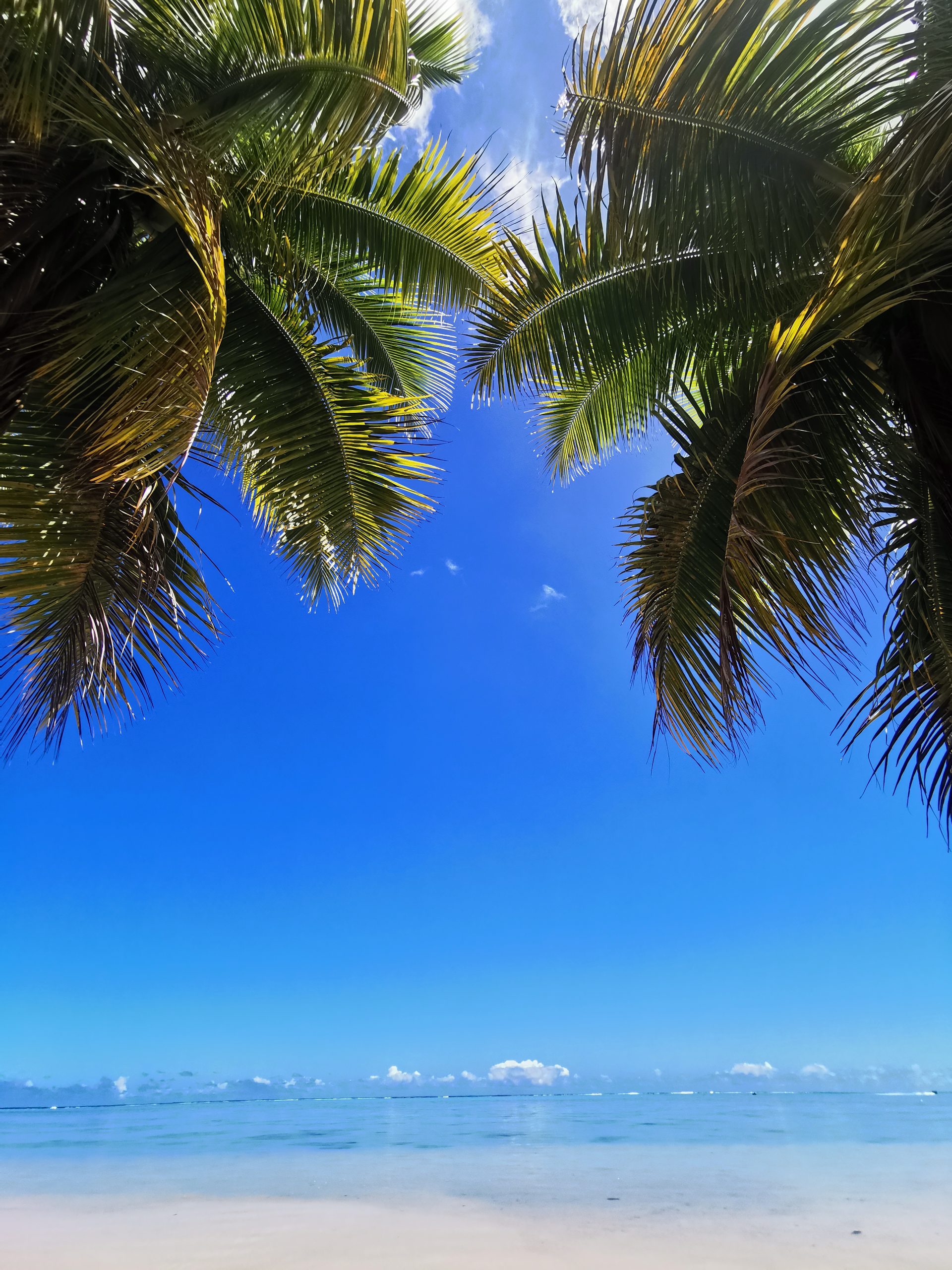 Matins ensoleillés après plongés 