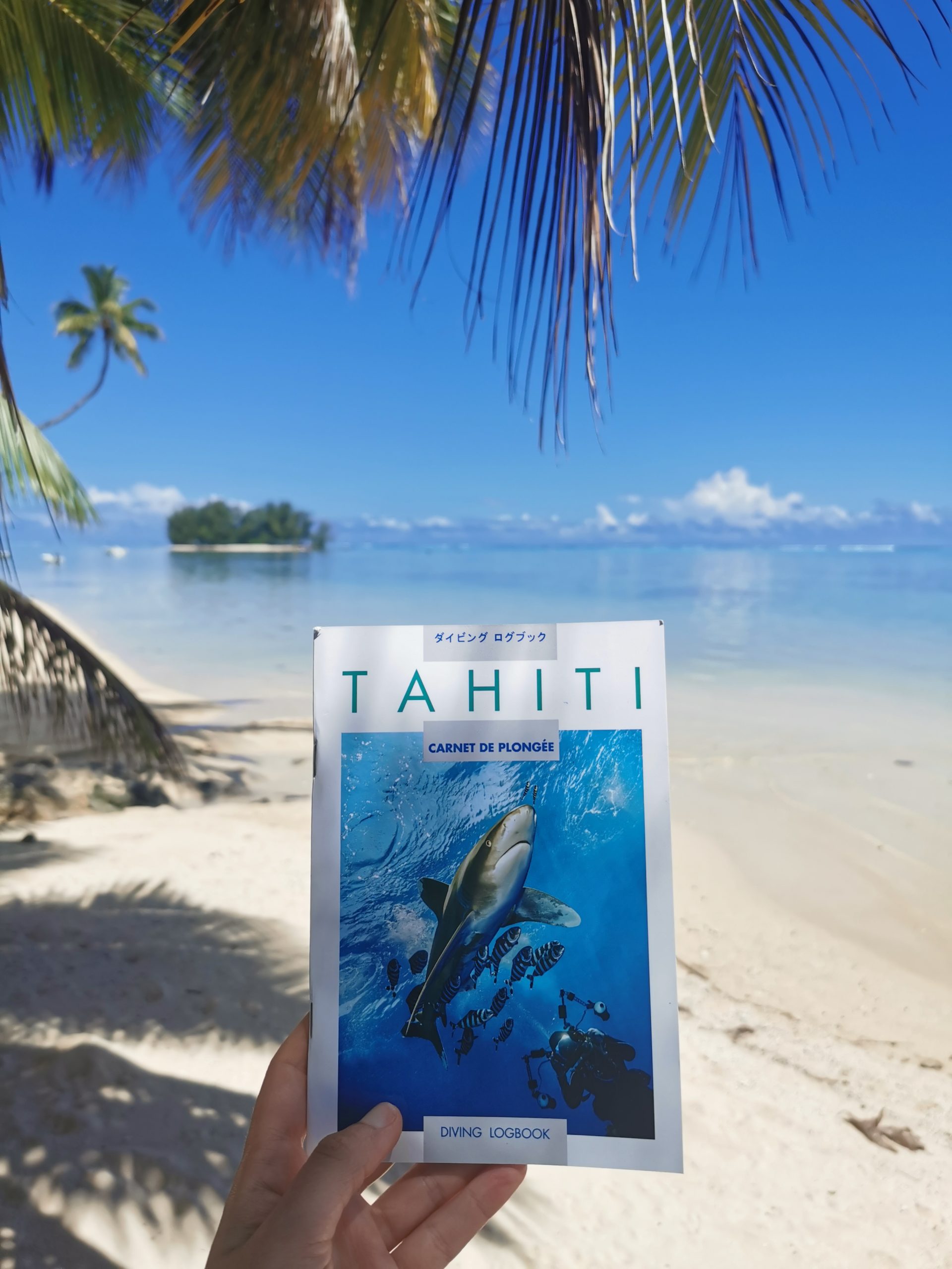 Formation plongée - Check 