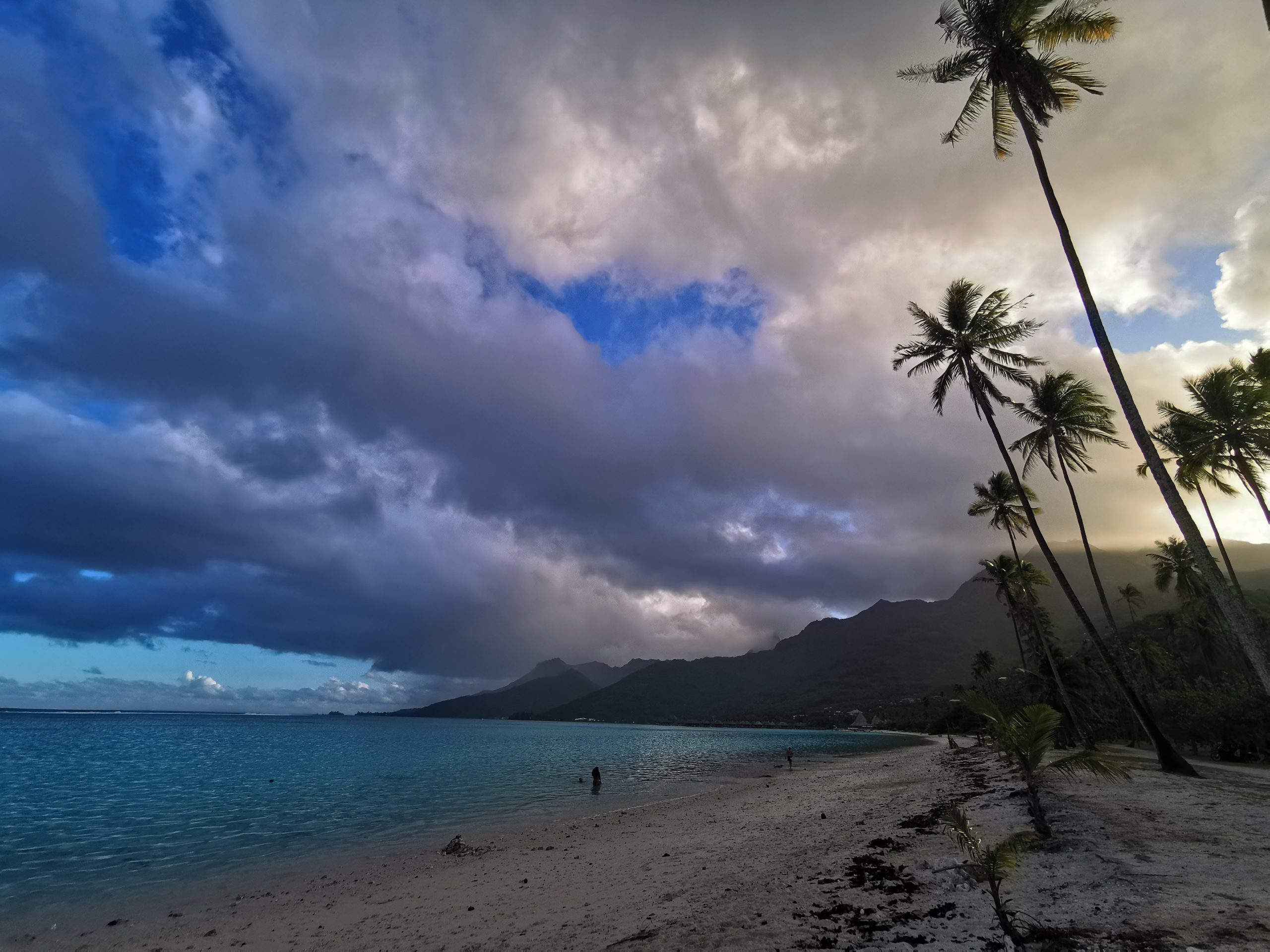 Auto stop & découverte 