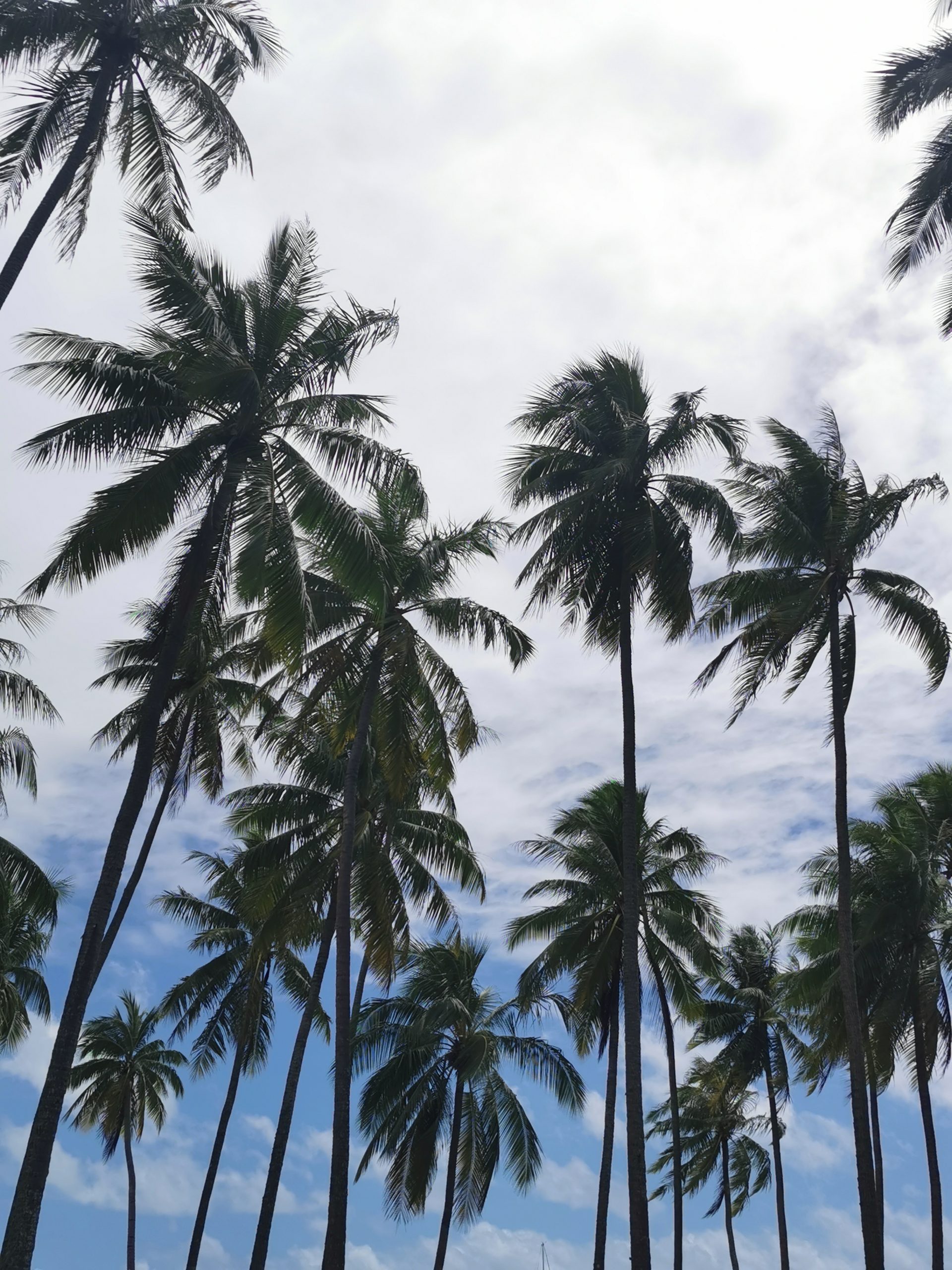 Moorea la magnifique