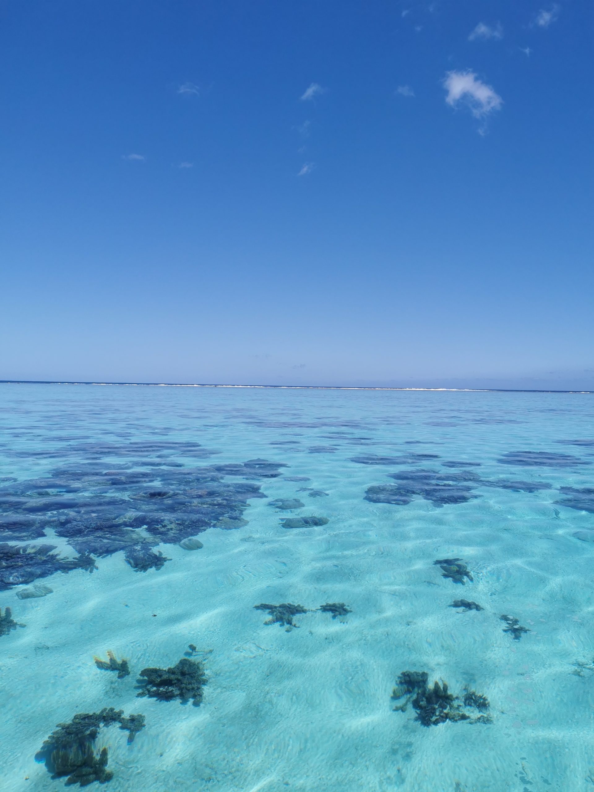 Polynésie : entre lagon et océan sauvage