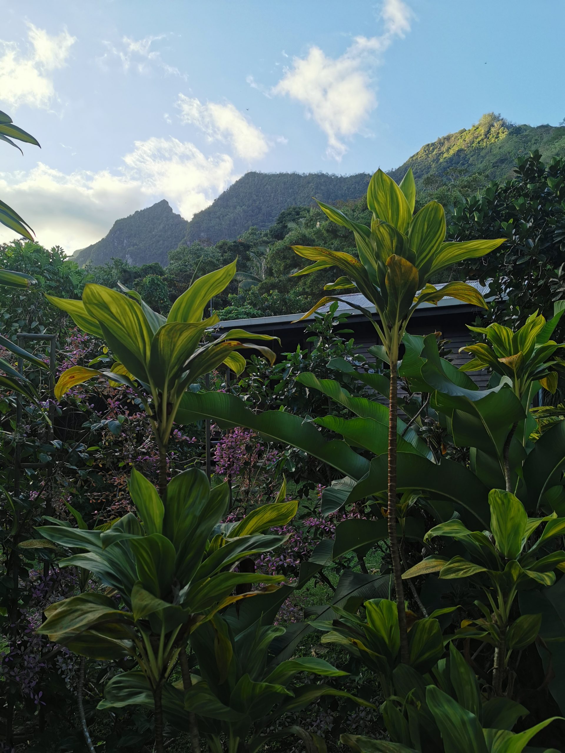 Fin de journée sur un air de saxo
