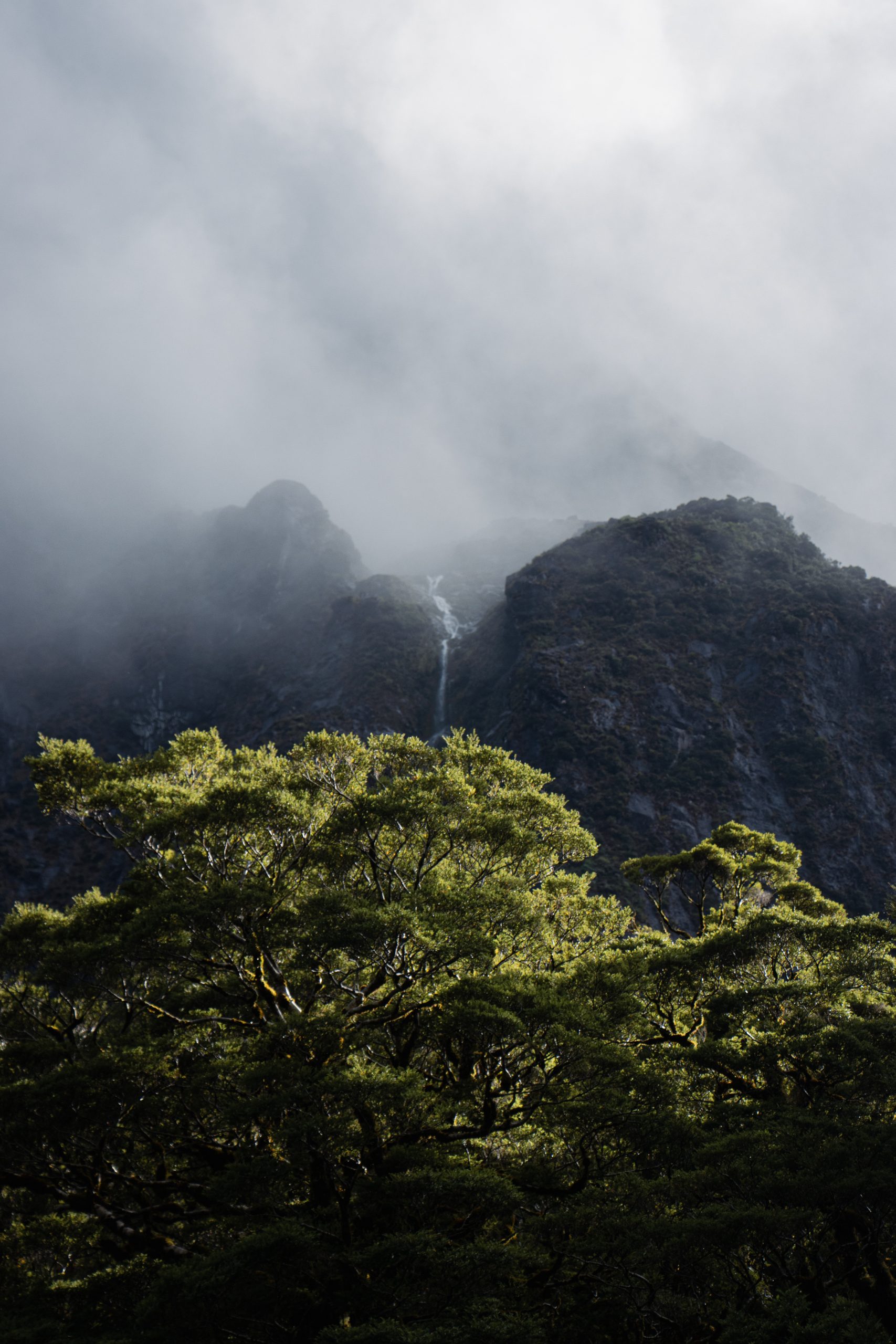 Welcome to the magic world 