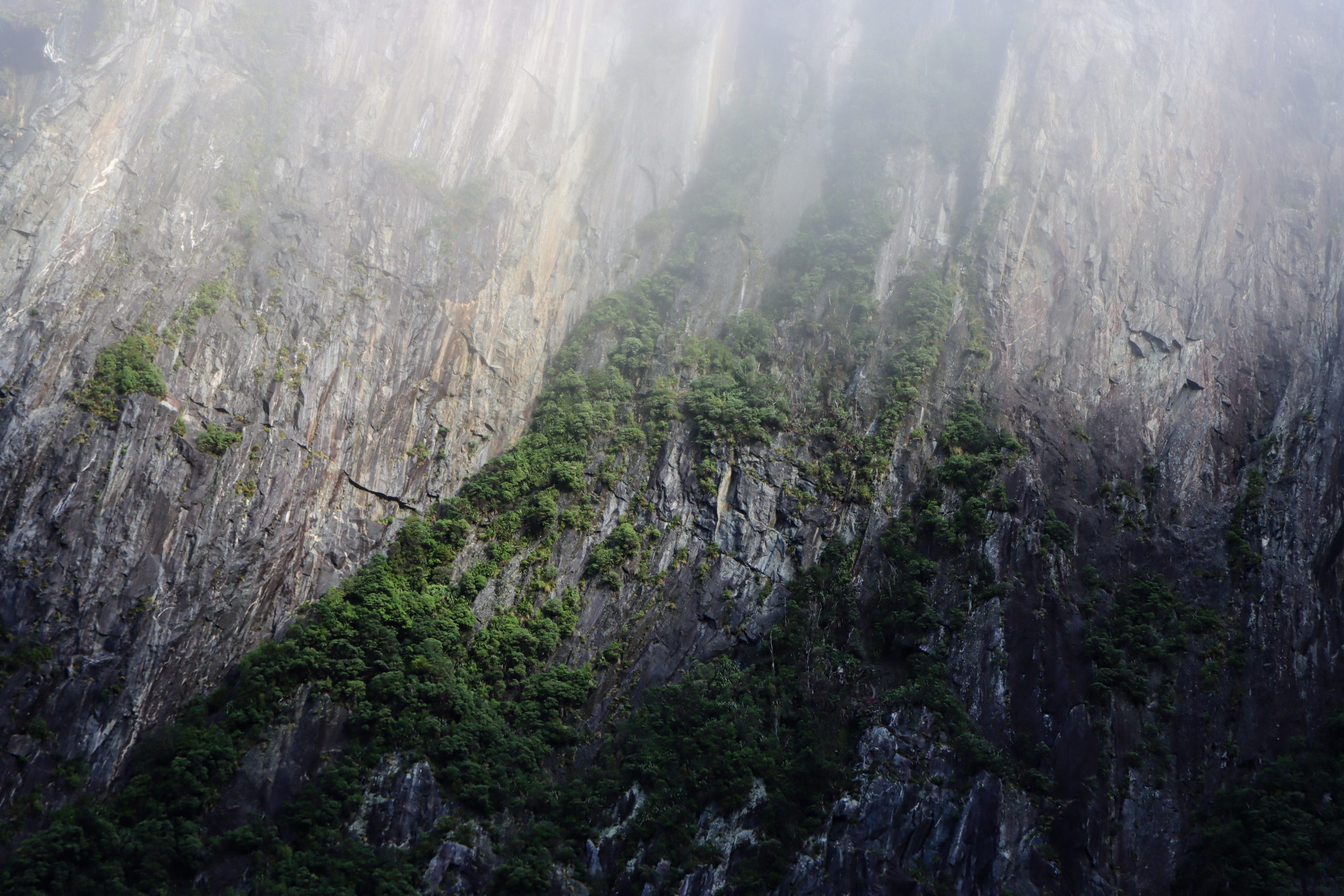 Fjords enchantés : bateaux et éclats de lumière